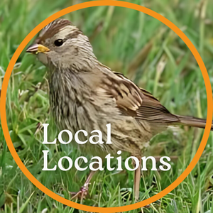 Team Page: Local Locations with Ernst Karel